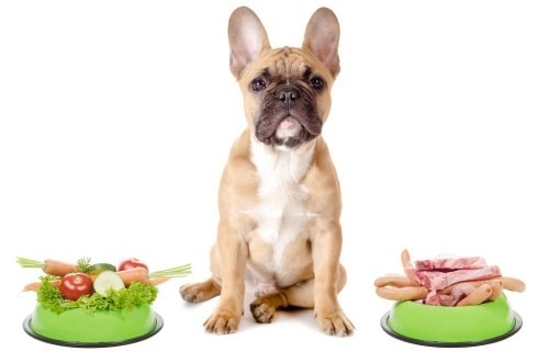 Alergia a alimentos en perros