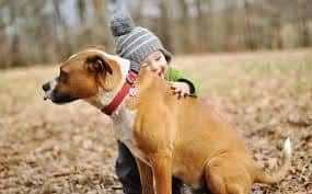 beneficios mascotas para niños
